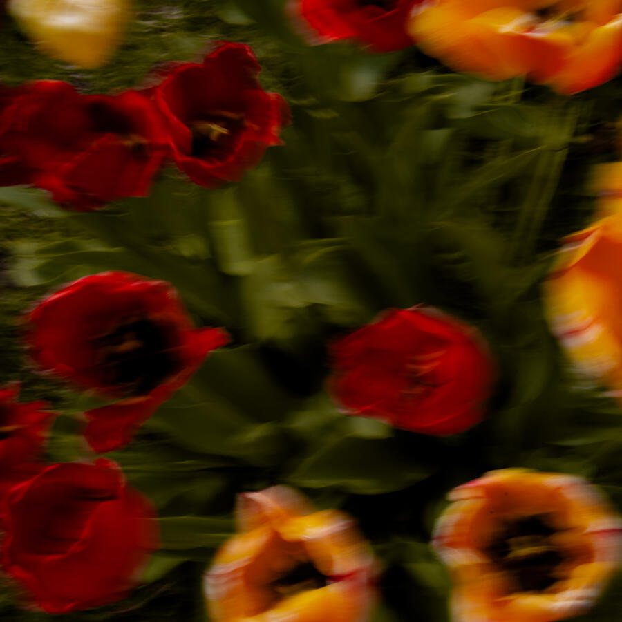 BLURTANICS